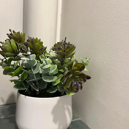 Le Clemenceau - Vue Coup De Coeur شقة *