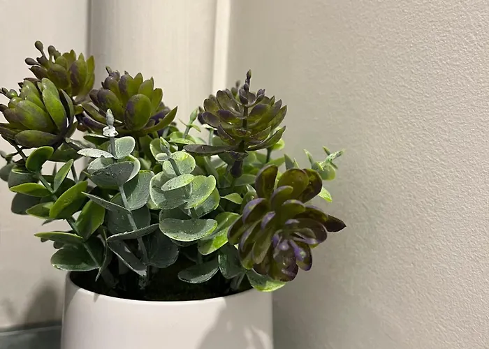 Le Clemenceau - Vue Coup De Coeur Apartmán *